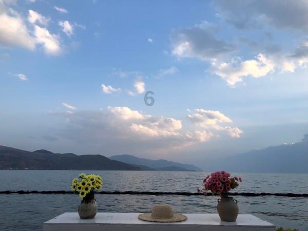 假如公婆生病要花掉你所有财产保命你愿意吗?_假如公婆生病要花掉你所有财产保命你愿意吗?红迪网平台,最新资讯、讨论和分享